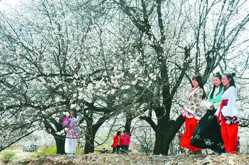 360无插件直播足球直播 全景展示